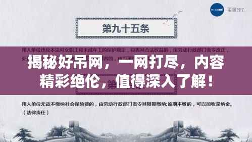 揭秘好吊网,一网打尽,内容精彩绝伦,值得深入了解!