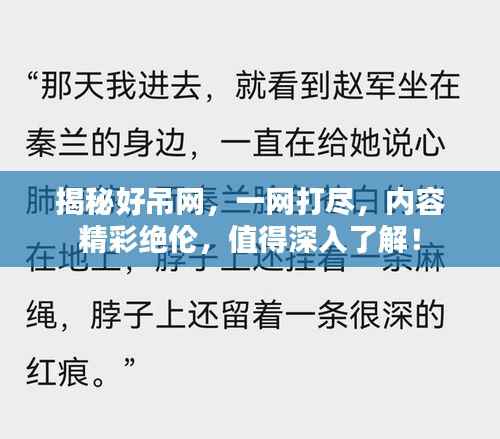 揭秘好吊网,一网打尽,内容精彩绝伦,值得深入了解!