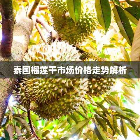 泰国榴莲干市场价格走势解析