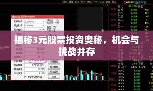 揭秘3元股票投资奥秘,机会与挑战并存