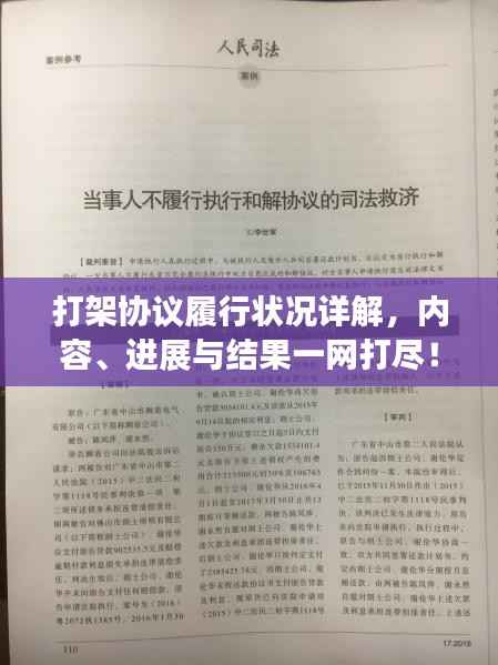 打架协议履行状况详解,内容、进展与结果一网打尽!