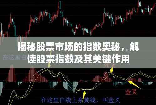 揭秘股票市场的指数奥秘,解读股票指数及其关键作用