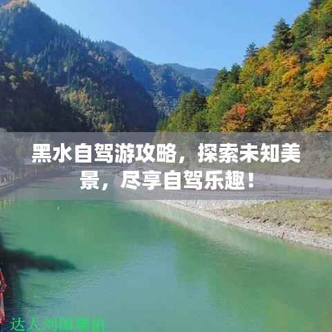 黑水自驾游攻略,探索未知美景,尽享自驾乐趣!