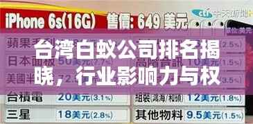台湾白蚁公司排名揭晓,行业影响力与权威排名一览