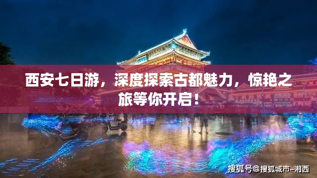 蚁出蚋飞 第5页