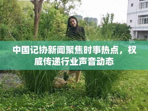 中国记协新闻聚焦时事热点,权威传递行业声音动态