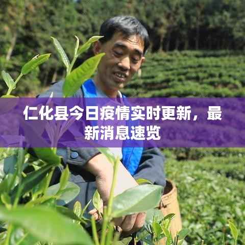 仁化县今日疫情实时更新,最新消息速览