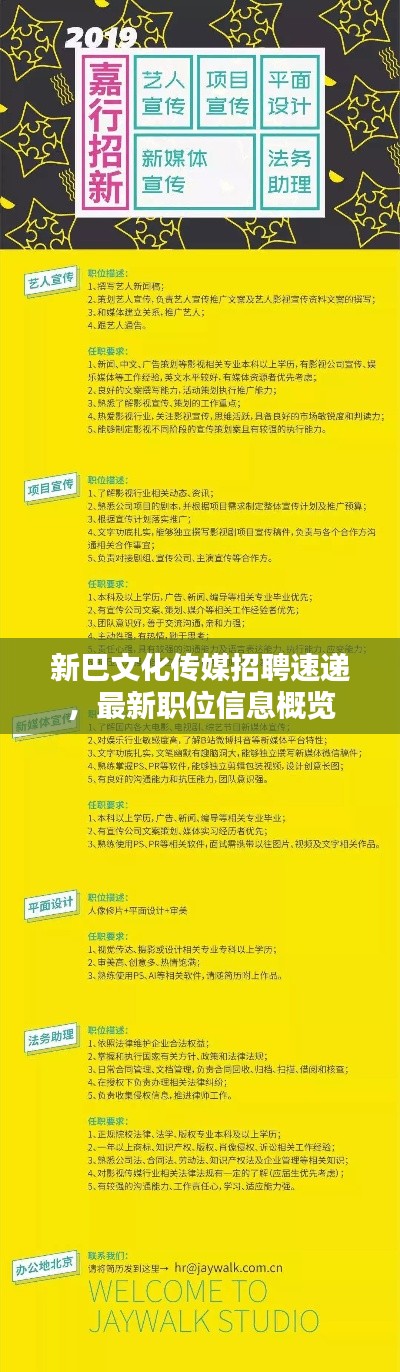 新巴文化传媒招聘速递,最新职位信息概览