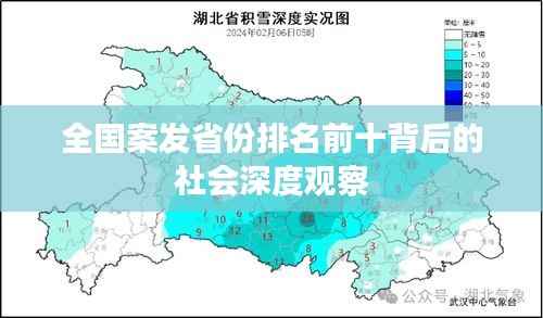 全国案发省份排名前十背后的社会深度观察