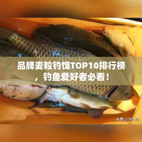 品牌麦粒钓饵TOP10排行榜,钓鱼爱好者必看!