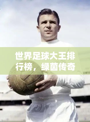 世界足球大王排行榜,绿茵传奇英雄足迹探寻