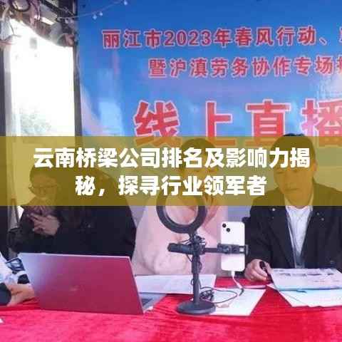 云南桥梁公司排名及影响力揭秘，探寻行业领军者