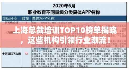 上海总裁培训TOP10榜单揭晓,这些机构引领行业潮流!