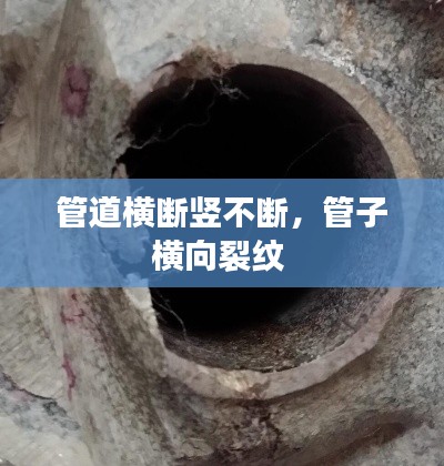 管道横断竖不断,管子横向裂纹