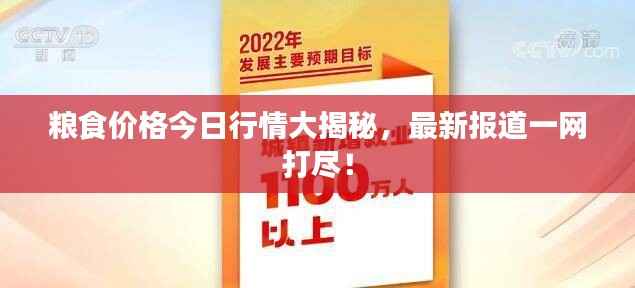 粮食价格今日行情大揭秘，最新报道一网打尽！