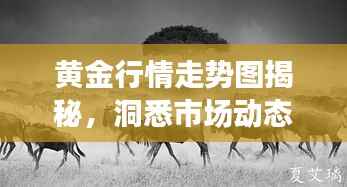 黄金行情走势图揭秘,洞悉市场动态与黄金投资机会