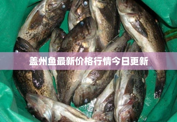 盖州鱼最新价格行情今日更新