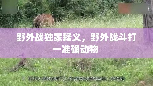 野外战独家释义,野外战斗打一准确动物