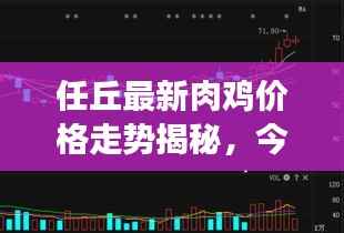 任丘最新肉鸡价格走势揭秘,今日行情分析与市场趋势解读