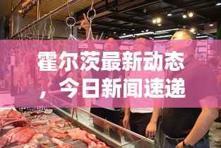 霍尔茨最新动态,今日新闻速递