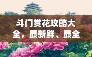 斗门赏花攻略大全,最新鲜、最全面的赏花指南!
