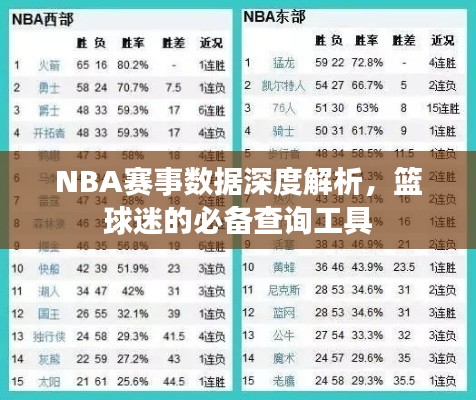 NBA赛事数据深度解析,篮球迷的必备查询工具