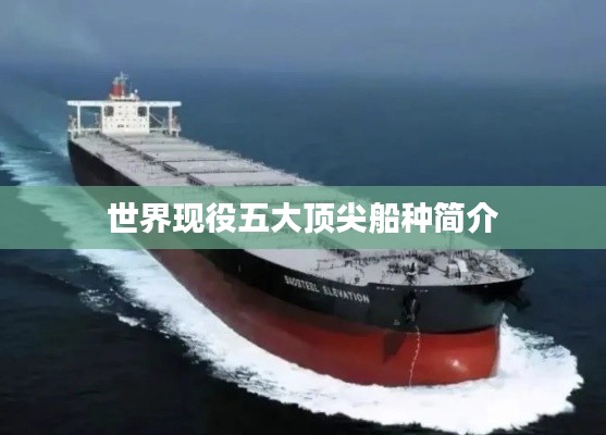 世界现役五大顶尖船种简介