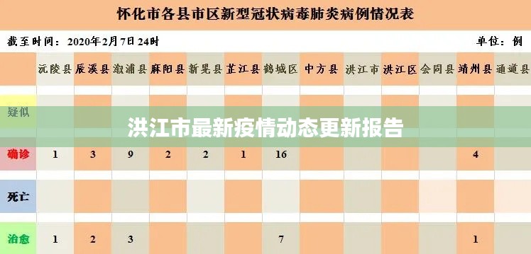 洪江市最新疫情动态更新报告