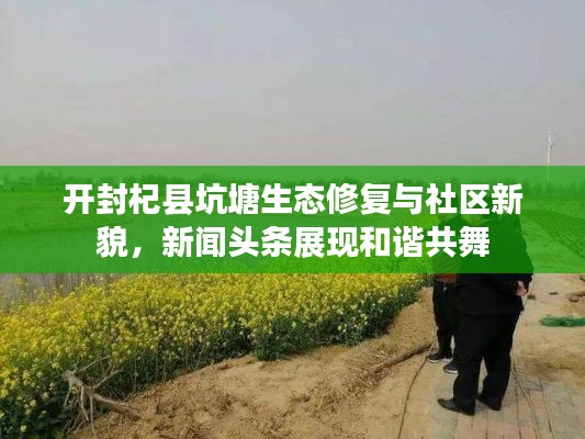 开封杞县坑塘生态修复与社区新貌,新闻头条展现和谐共舞