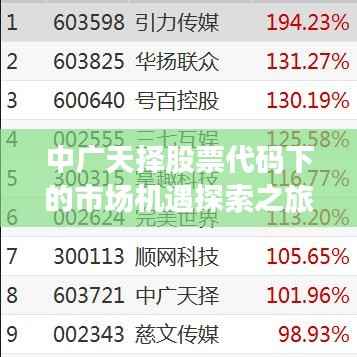 中广天择股票代码下的市场机遇探索之旅