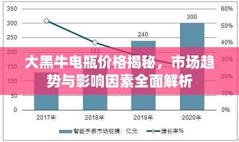 大黑牛电瓶价格揭秘,市场趋势与影响因素全面解析