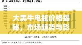 大黑牛电瓶价格揭秘,市场趋势与影响因素全面解析