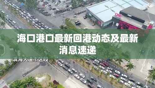 海口港口最新回港动态及最新消息速递