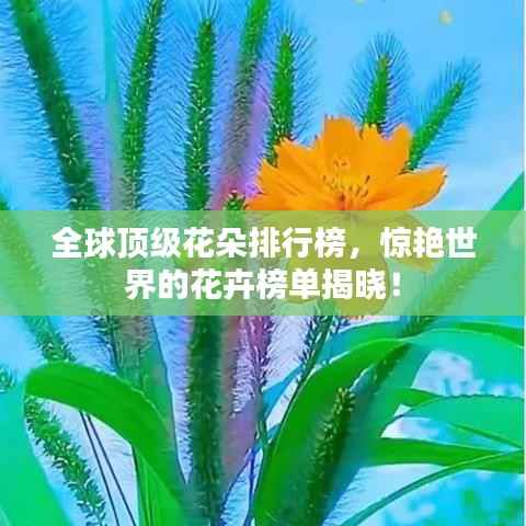 全球顶级花朵排行榜,惊艳世界的花卉榜单揭晓!