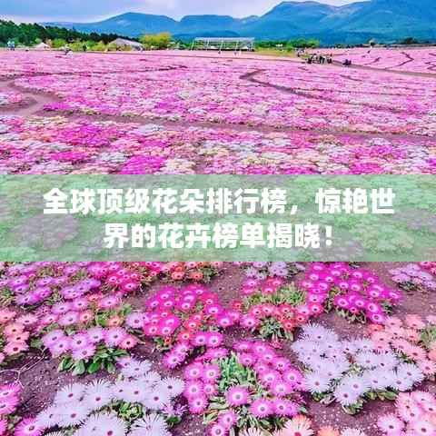 全球顶级花朵排行榜,惊艳世界的花卉榜单揭晓!