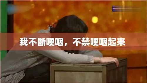 我不断哽咽,不禁哽咽起来