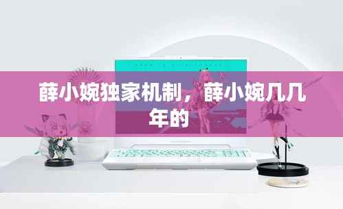 薛小婉独家机制,薛小婉几几年的