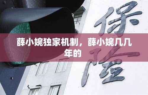 薛小婉独家机制,薛小婉几几年的