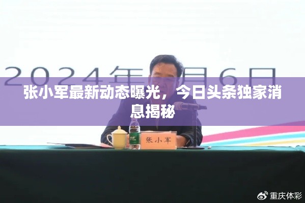 张小军最新动态曝光,今日头条独家消息揭秘
