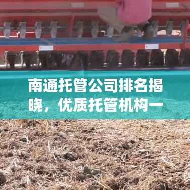 南通托管公司排名揭晓，优质托管机构一览无余！