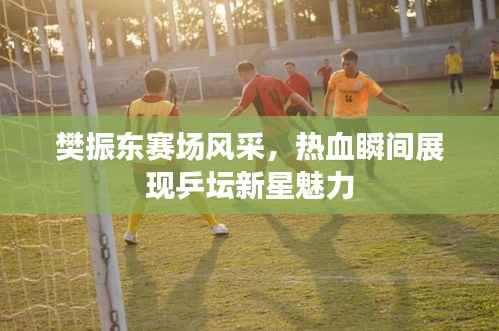 樊振东赛场风采，热血瞬间展现乒坛新星魅力