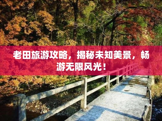老田旅游攻略，揭秘未知美景，畅游无限风光！
