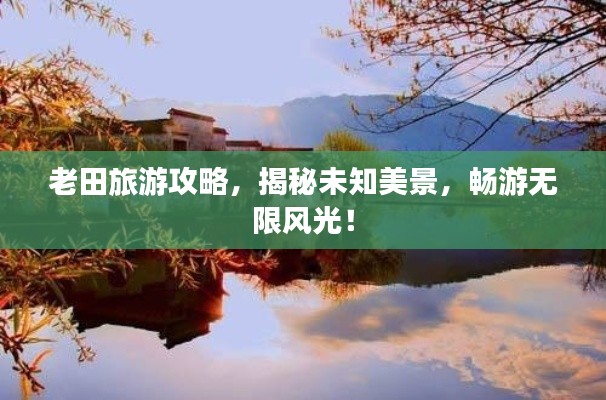 老田旅游攻略,揭秘未知美景,畅游无限风光!
