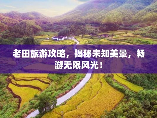 老田旅游攻略,揭秘未知美景,畅游无限风光!
