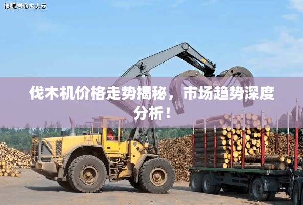 伐木机价格走势揭秘,市场趋势深度分析!