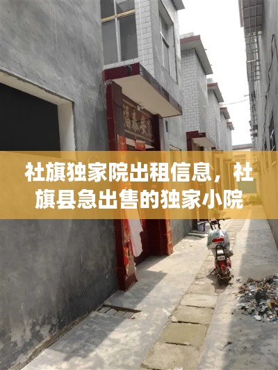 花容月貌 第4页