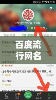 百度流行网名取名技巧,轻松获取独特吸引人的标题!