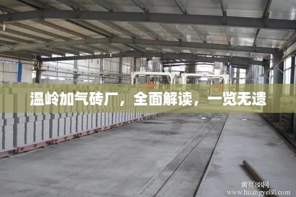温岭加气砖厂,全面解读,一览无遗