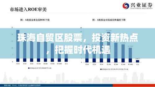 珠海自贸区股票,投资新热点,把握时代机遇