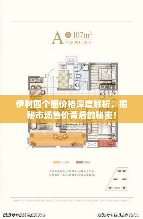 伊利四个圈价格深度解析,揭秘市场售价背后的秘密!